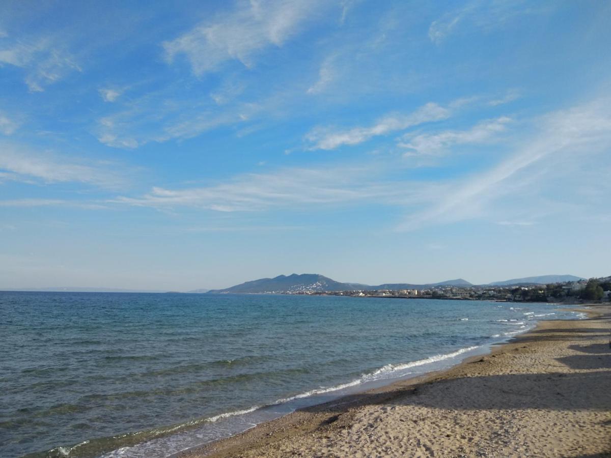 La Vita Apartments-Near Airport & Sea Артемида Екстериор снимка