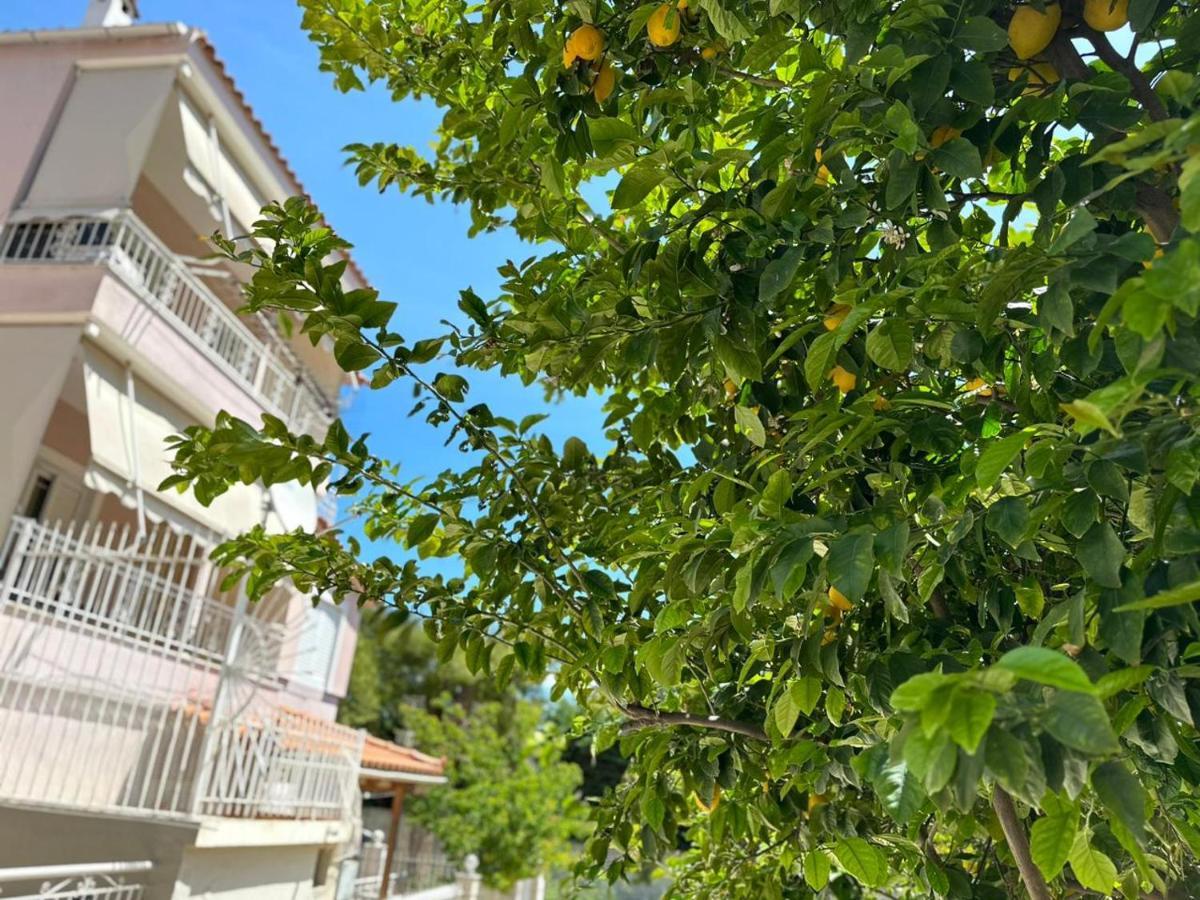 La Vita Apartments-Near Airport & Sea Артемида Екстериор снимка